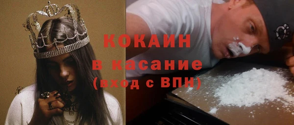 сатива Абаза