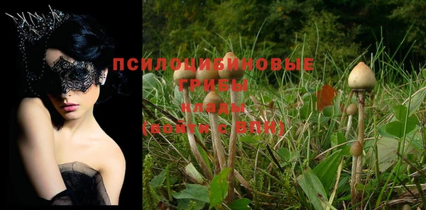 ешки Абинск