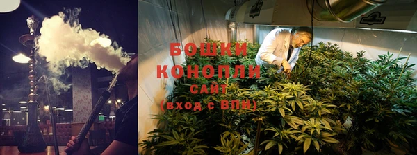 сатива Абаза