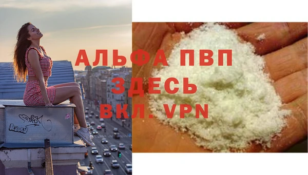 сатива Абаза